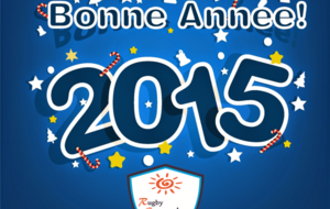 Joyeuses Fêtes ...