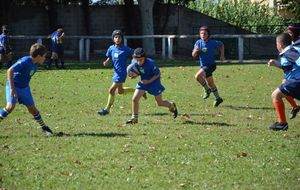 5253f32559514_DSC0785.JPG