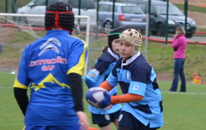 5300be556c6af_DSC0354.JPG