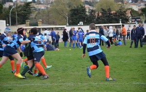 534b8fc894505_DSC1120.JPG