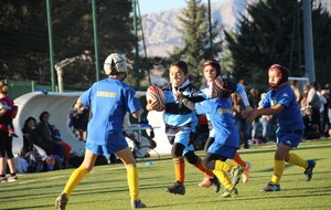 54796d37ccddc_IMG1029.JPG