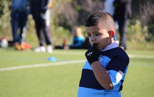 54796d404001a_IMG0975.JPG