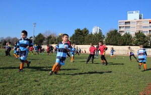 54e84c981a7ea_IMG1532.JPG