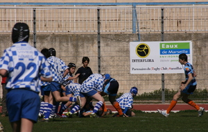 550bd8bedc9a8_IMG0580.JPG