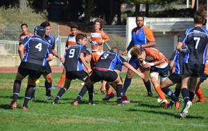 581e3144a9d22_DSC2169Copier.JPG
