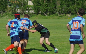 59245a4326bec_IMGP8888.JPG