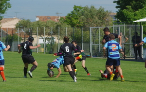 59245a563b60b_IMGP8897.JPG