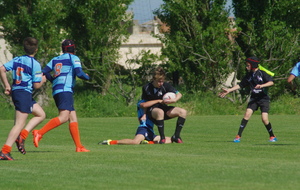 59245a6092936_IMGP8898.JPG