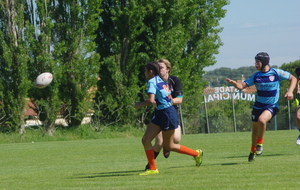 59245a9f8c653_IMGP8905.JPG