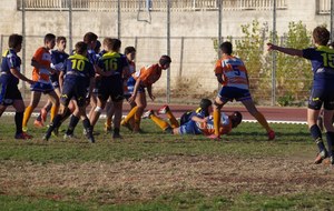 5a1165698fc9b_IMGP1735.jpg