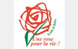 Une rose pour la Vie - Journée mondiale de don de sang