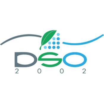 DSO 2002