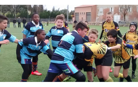 Tournoi M12 AUC