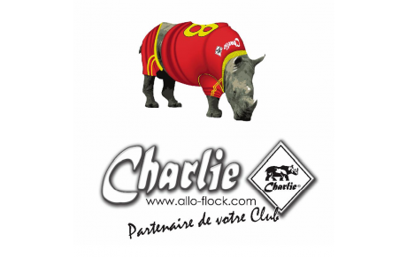 Nouvel Équipementier